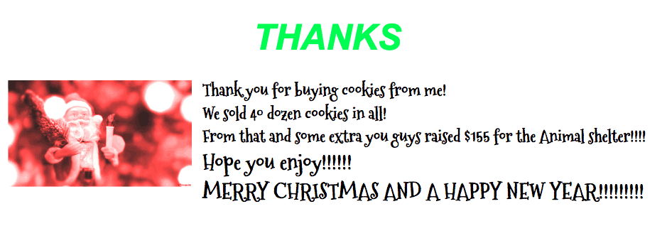 Homemade Christmas Cookies Thanks